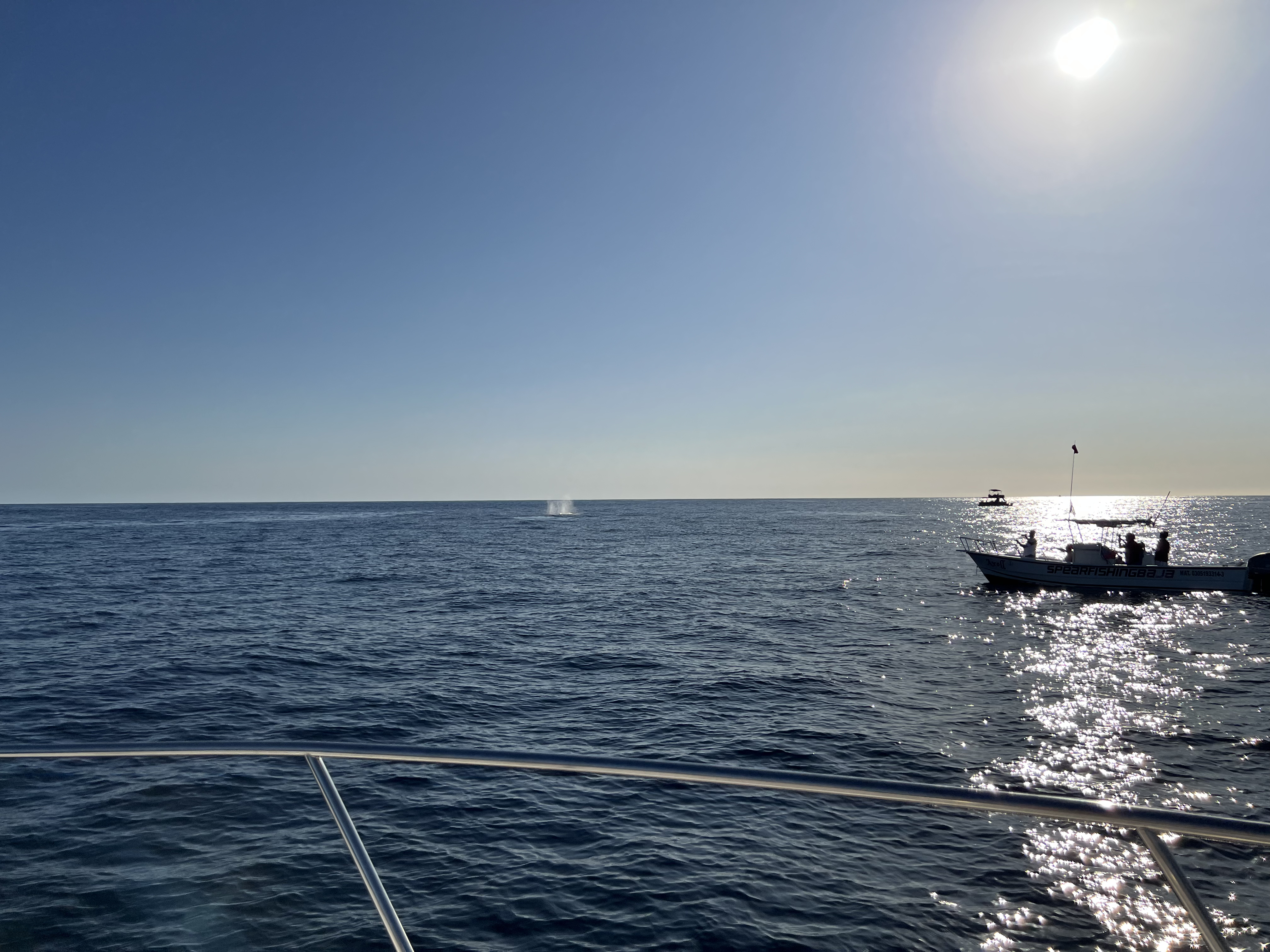 ./2024/13 - Cabo/IMG_4661.jpg